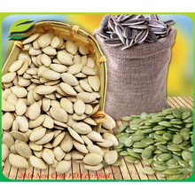 edible pumpkin seed kernels